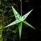 In the Breeze 9178 — Green Paper Star Lantern — Hanging Party and Home Décor with Painted Gold Accents — Handmade, Dyed Paper